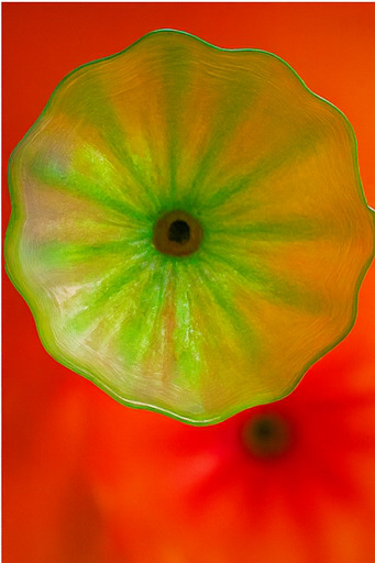 베타 구역 모험