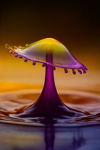 새로운 탐험이 기다립니다